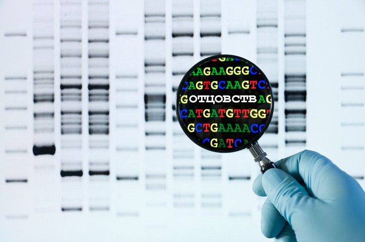 Как нужно правильно интерпретировать информацию в отчете о результатах теста на установление отцовства