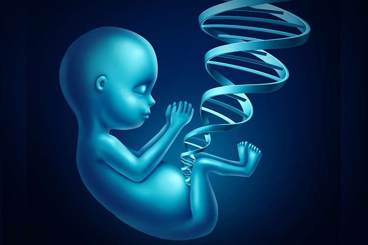 5 Причин для выбора Неинвазивного Пренатального Теста на установление  отцовства