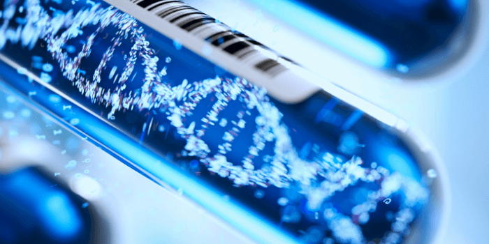 Five Fun Facts about DNA