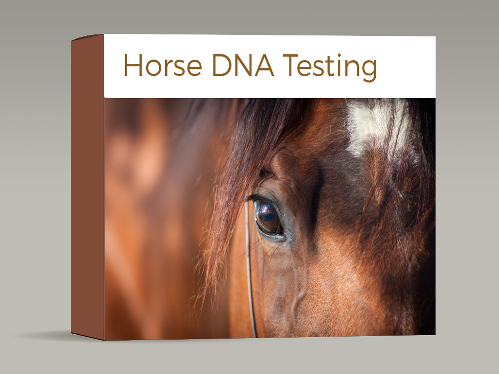Horse-DNA