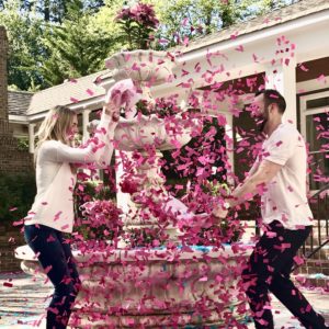 blog-creative-gender-reveal-ideas.png_2