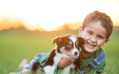 Questions to Ask Puppy Buyers and What They May Ask You