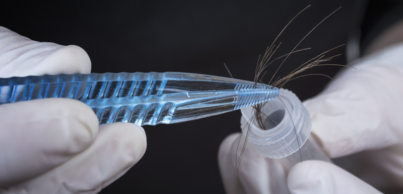 How Does a Hair DNA Test Work?