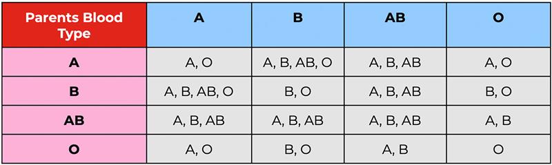 Understanding Inheritance: Chart of Blood Types