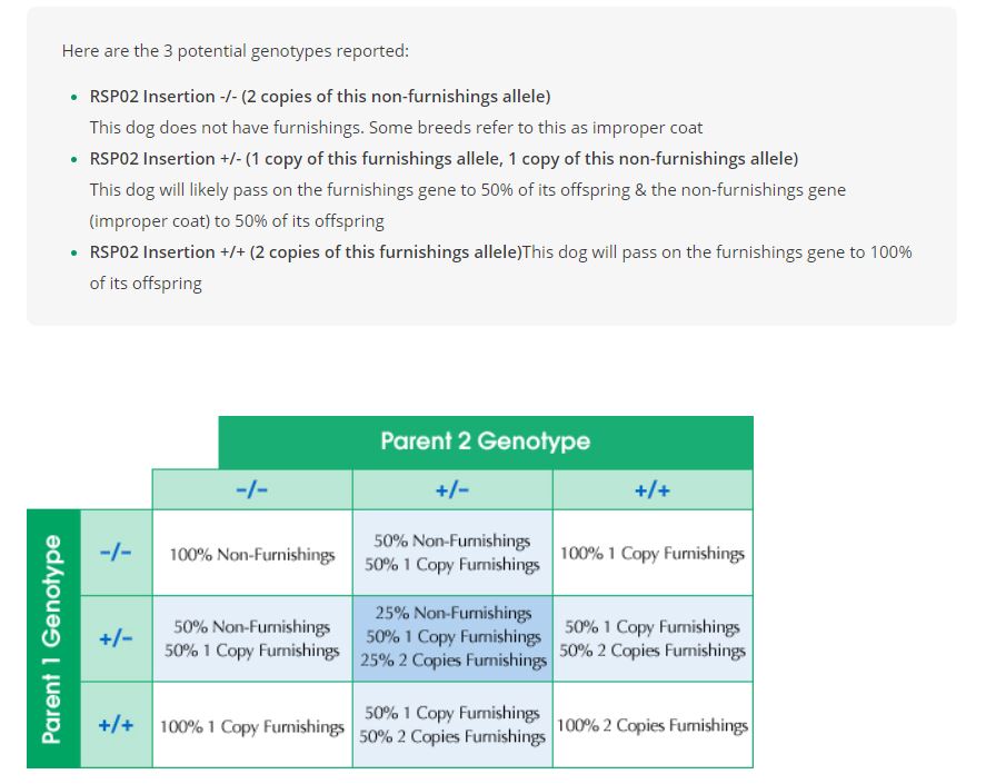blog-coat-furnishings-in-dogs-genetics-chart