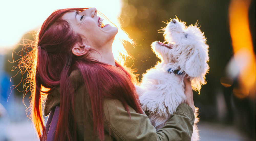 Survey Says: Dog People May Treat Pets Better than Family