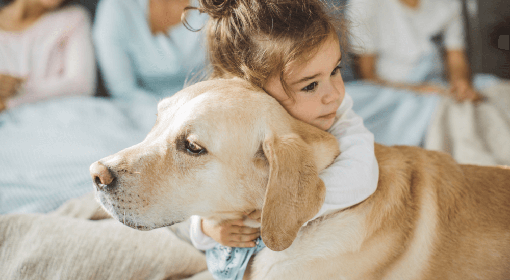 Choosing the Right Dog Breed: 3 Top Tips