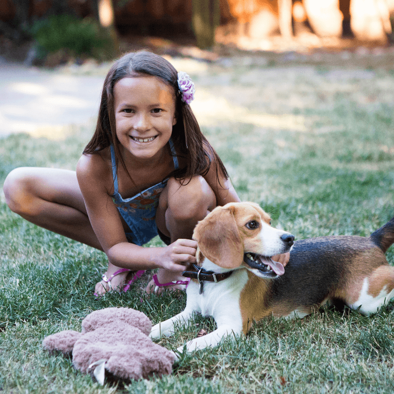 blog-top-tips-for-choosing-the-right-dog-breed_2