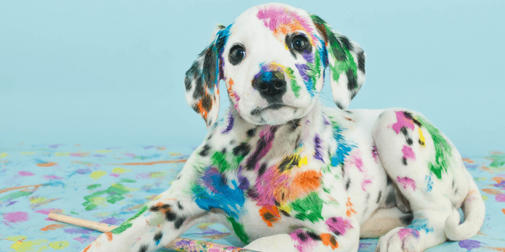 blog-top-tips-for-choosing-the-right-dog-breed_3